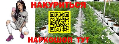 прущая мука Кингисепп