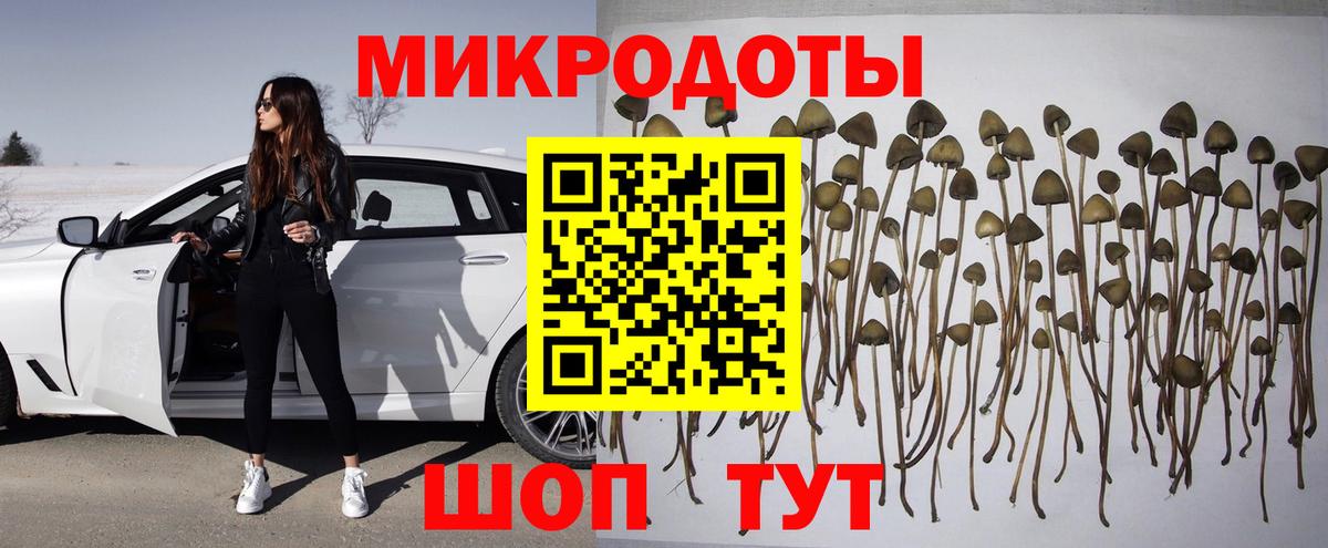 Красноуфимск  Псилоцибиновые грибы MAGIC MUSHROOMS  Вход с VPN 